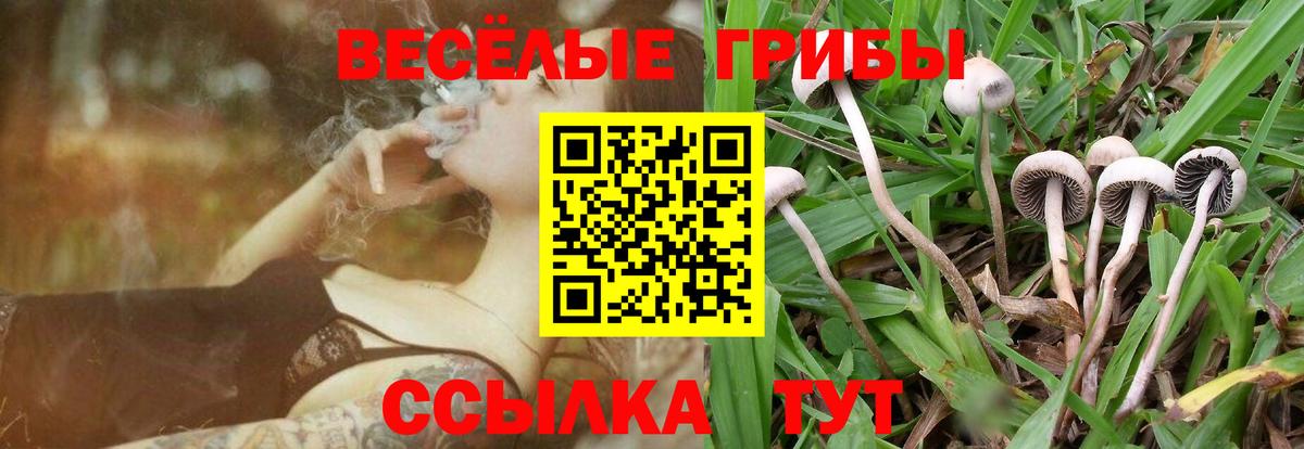 Псилоцибиновые грибы мицелий  Галлюциногенные грибы прущие грибы  Мирный  Вход с VPN 